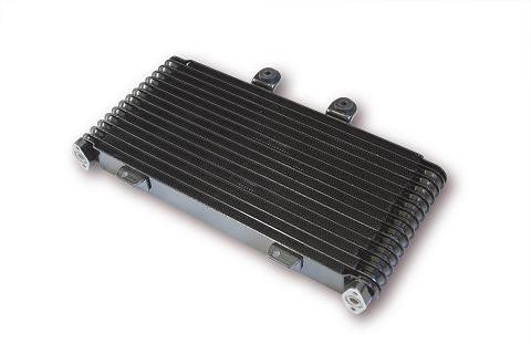 Radiateur d'huile BRAZOLINE Suzuki GSF 1200 Bandit WVA9 01/06