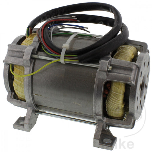 Moteur sous huile 1,5 kW Nussbaum Noyer SPL 4000
