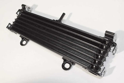 Radiateur d'huile Brazoline Yamaha XJR 1300