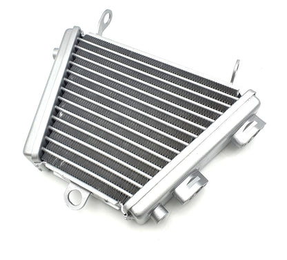 Radiateur d'huile Brazoline Suzuki GSX-R 1000 (2009-2016)